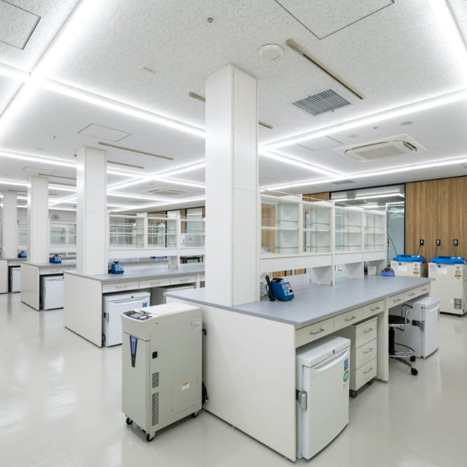 셰어 랩 이미지 사진